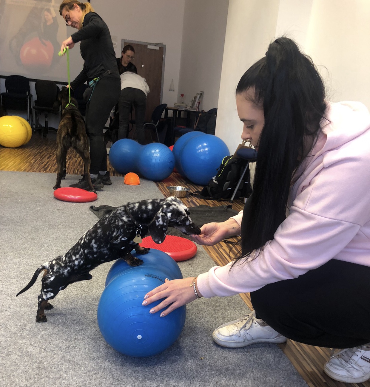 Balanční cvičení