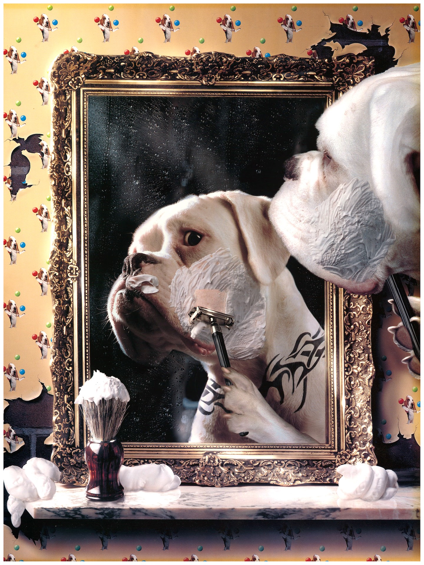 Pejsek v psím barber shopu